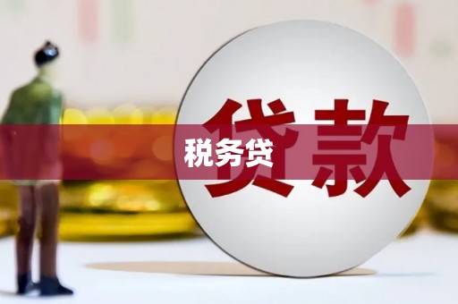 达坂城税务贷
