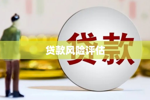 达坂城贷款风险评估