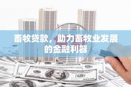 达坂城畜牧贷款，助力畜牧业发展的金融利器