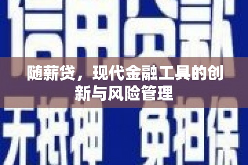 达坂城随薪贷，现代金融工具的创新与风险管理