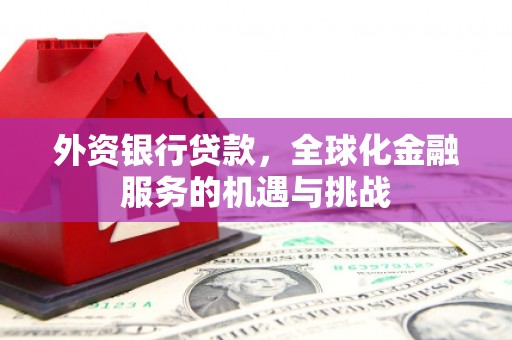 达坂城外资银行贷款，全球化金融服务的机遇与挑战
