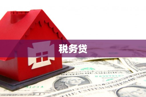 达坂城税务贷