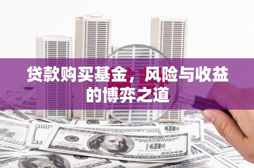 达坂城贷款购买基金，风险与收益的博弈之道