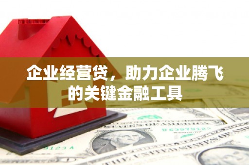 达坂城企业经营贷，助力企业腾飞的关键金融工具