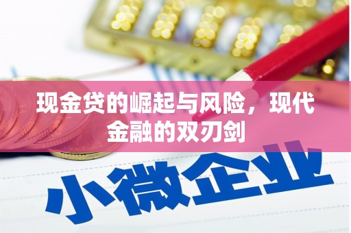 达坂城现金贷的崛起与风险，现代金融的双刃剑