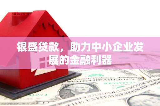 达坂城银盛贷款，助力中小企业发展的金融利器