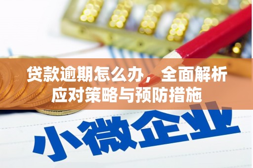 达坂城贷款逾期怎么办，全面解析应对策略与预防措施