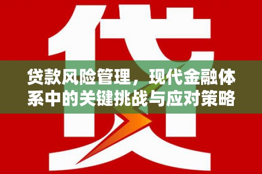 达坂城贷款风险管理，现代金融体系中的关键挑战与应对策略