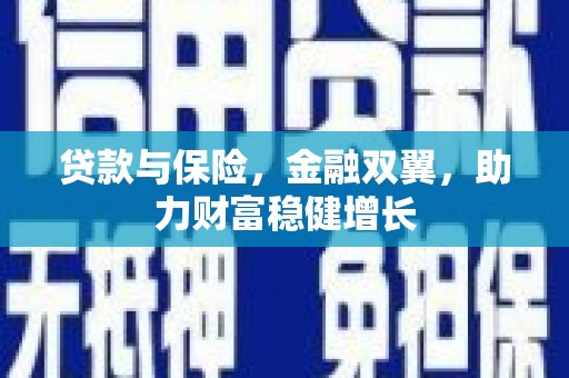 达坂城贷款与保险，金融双翼，助力财富稳健增长