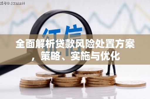达坂城全面解析贷款风险处置方案，策略、实施与优化
