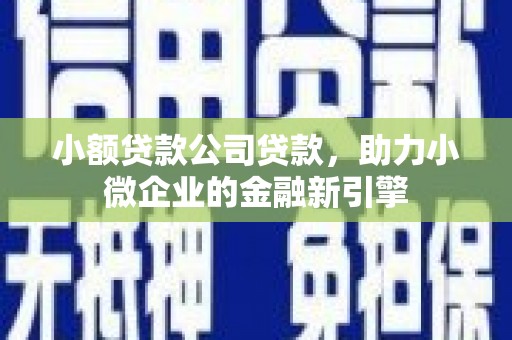 达坂城小额贷款公司贷款，助力小微企业的金融新引擎