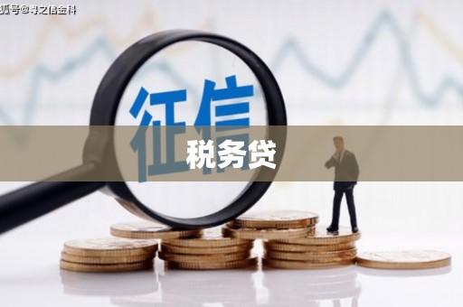 达坂城税务贷