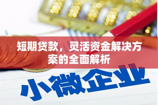 达坂城短期贷款，灵活资金解决方案的全面解析