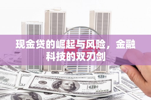 达坂城现金贷的崛起与风险，金融科技的双刃剑