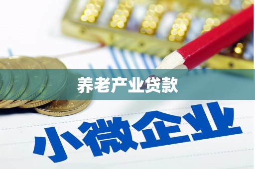 达坂城养老产业贷款