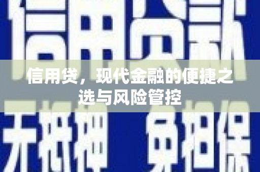 达坂城信用贷，现代金融的便捷之选与风险管控