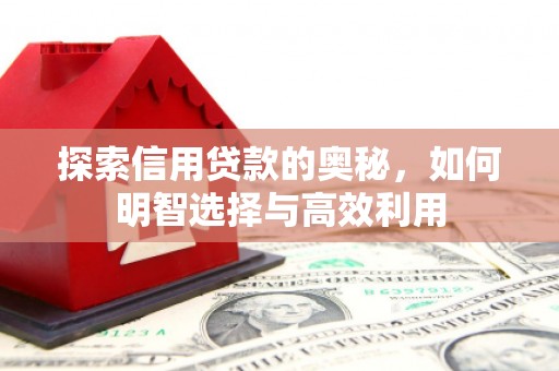 达坂城探索信用贷款的奥秘，如何明智选择与高效利用