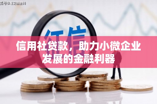 达坂城信用社贷款，助力小微企业发展的金融利器