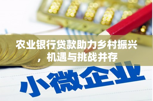 达坂城农业银行贷款助力乡村振兴，机遇与挑战并存