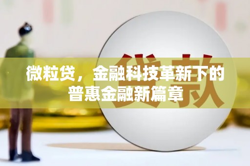 达坂城微粒贷，金融科技革新下的普惠金融新篇章