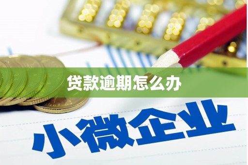 达坂城贷款逾期怎么办