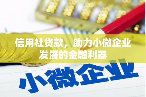 达坂城信用社贷款，助力小微企业发展的金融利器