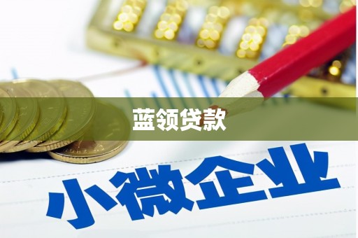 达坂城蓝领贷款