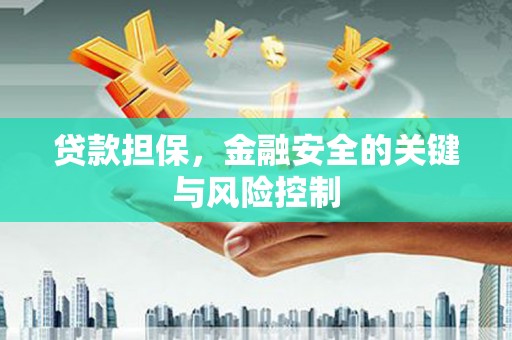 达坂城贷款担保，金融安全的关键与风险控制