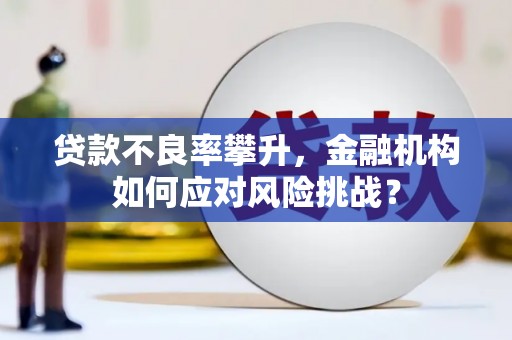 达坂城贷款不良率攀升，金融机构如何应对风险挑战？