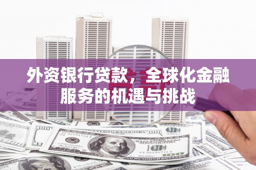 达坂城外资银行贷款，全球化金融服务的机遇与挑战