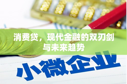达坂城消费贷，现代金融的双刃剑与未来趋势