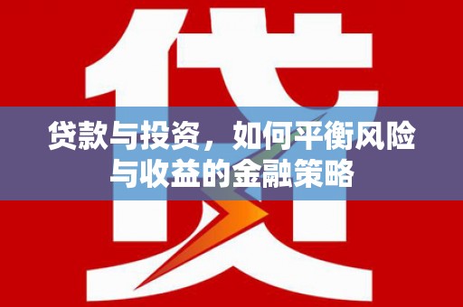 达坂城贷款与投资，如何平衡风险与收益的金融策略
